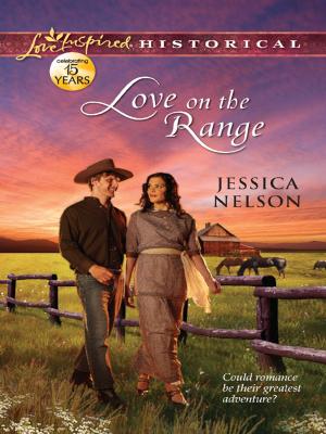 Cover of the book Love on the Range by Jon Steinberg