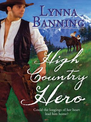 Cover of the book High Country Hero by Karen Templeton