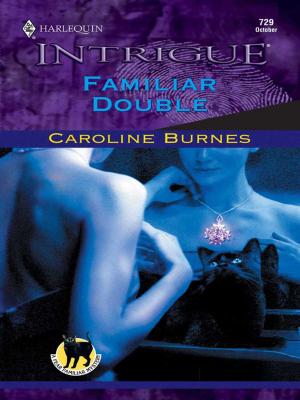 Cover of the book FAMILIAR DOUBLE by Jennifer Greene