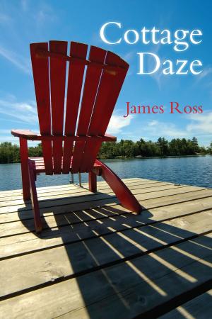 bigCover of the book Cottage Daze by 