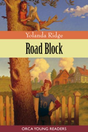 Cover of the book Road Block by Sigmund Brouwer