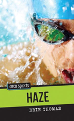 Cover of the book Haze by Sonya Spreen Bates