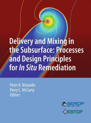 Cover of the book Delivery and Mixing in the Subsurface by Ken M. Harrison