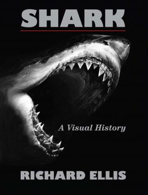 Cover of the book Shark by Sharon Naylor