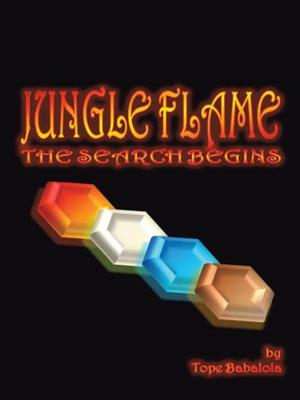 Cover of the book Jungle Flame by Davidson L. Haworth