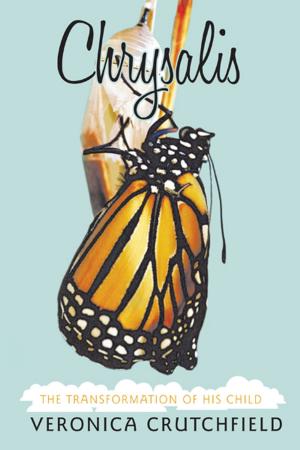 Cover of the book Chrysalis by Janet Safford Cline