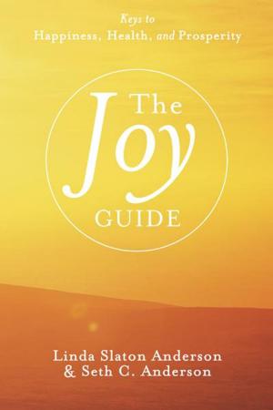 Cover of the book The Joy Guide by Jeff Krasno, Sarah Herrington, Nicole Lindstrom