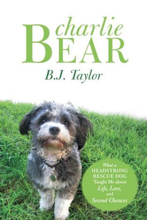Book cover of Charlie Bear