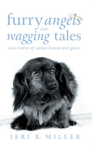 Cover of the book Furry Angels with Wagging Tales by Sister Louise Sweigart cgs