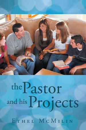 Book cover of The Pastor and His Projects