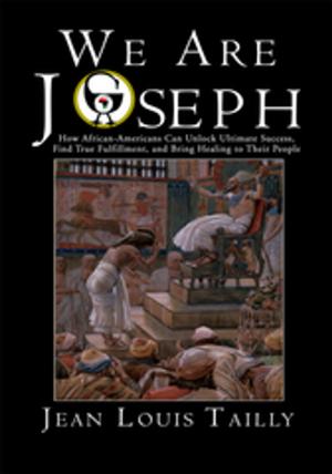 Cover of the book We Are Joseph by Anne E. O'Neill