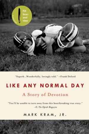 Book cover of Like Any Normal Day