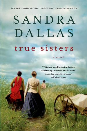 Cover of the book True Sisters by Donna G. Corwin