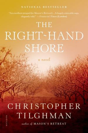 Cover of the book The Right-Hand Shore by Steve Sem-Sandberg