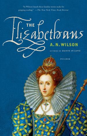 Cover of the book The Elizabethans by Aleksandar Hemon