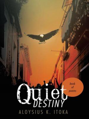 Cover of the book Quiet Destiny by Brenda Dow