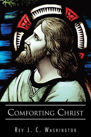 Cover of the book Comforting Christ by John Eric Vining