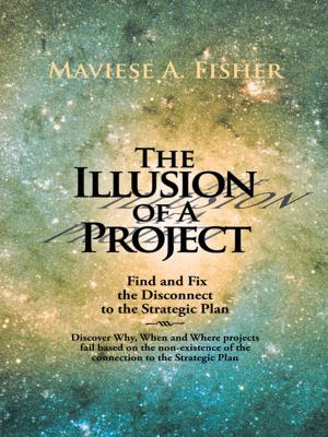 Cover of the book The Illusion of a Project by Mary Margaret Jensen