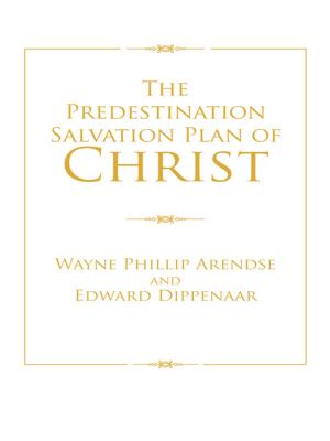 Cover of the book The Predestination Salvation Plan of Christ by Uffoh Emmanuel O.