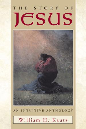 Cover of the book The Story of Jesus by Steve Schippel