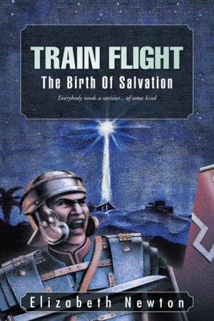 Cover of the book Train Flight by Rachel Bernard