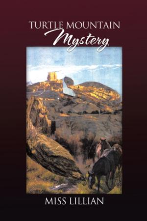 Cover of the book Turtle Mountain Mystery by ERIC R. PELLATZ