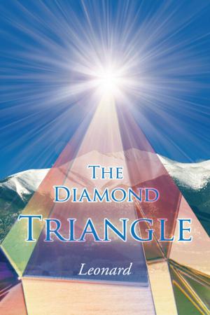 Cover of the book The Diamond Triangle by Trishia Long