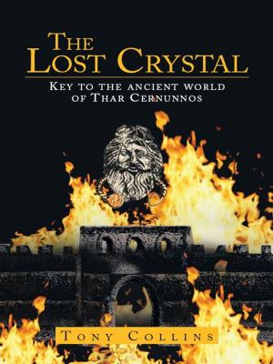 Cover of the book The Lost Crystal by Tina Crisp