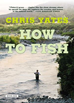 Cover of the book How To Fish by Larry W. Swanson, Eric Newman, Alfonso Araque