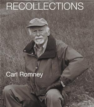 Cover of the book Recollections by James P. Wooten