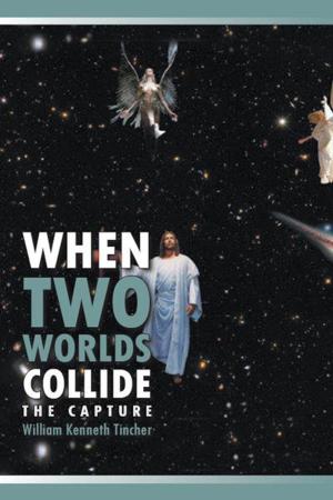 Cover of the book When Two Worlds Collide by Rhiannon Frater