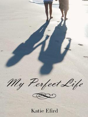 Cover of the book My Perfect Life by Christopher R. Mwashinga Jr.