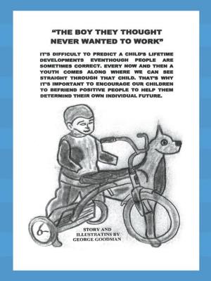 Cover of the book “The Boy They Thought Never Wanted to Work” by Jami G. Shakibi