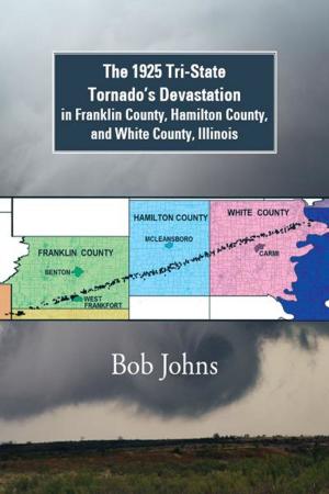 Cover of the book The 1925 Tri-State Tornado’S Devastation in Franklin County, Hamilton County, and White County, Illinois by Gail C. Goldberg EdS