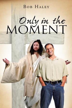 Cover of the book Only in the Moment by Claudia M. Vitello
