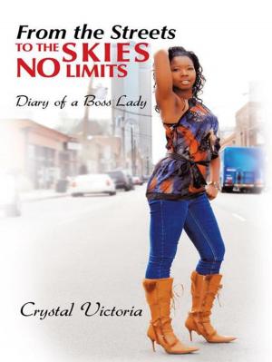 Cover of the book From the Streets to the Skies No Limits by Judy L. Anderson