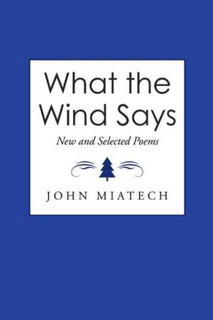 Cover of the book What the Wind Says by Jennifer Toole