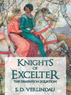 Cover of the book Knights of Excelter by Ann Bilott