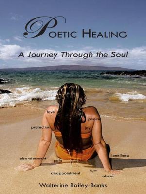 Cover of the book Poetic Healing by Dash Shaw, Stefan Kiesbye, Ryder Collins