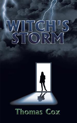Cover of the book Witch's Storm by Gaylier Nowling Miller