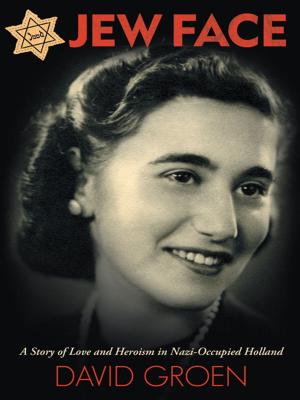 Cover of the book Jew Face by Adrienne Crawford