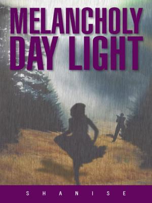 Cover of the book Melancholy Day Light by M. Scott Parvino