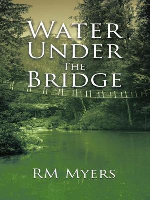 Book cover of Water Under the Bridge
