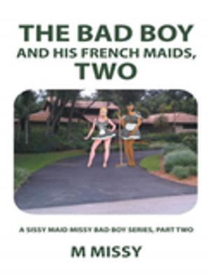 Book cover of The Bad Boy and His French Maids, Two