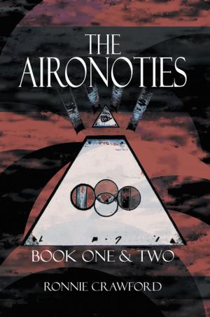 bigCover of the book The Aironoties by 