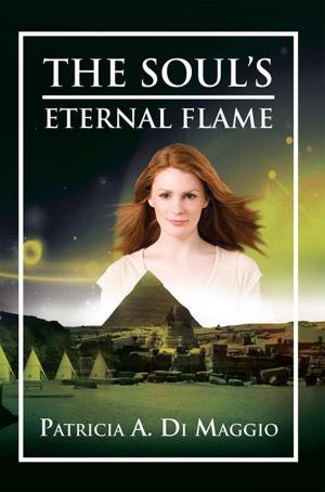 Cover of the book The Soul’S Eternal Flame by Donna Rice