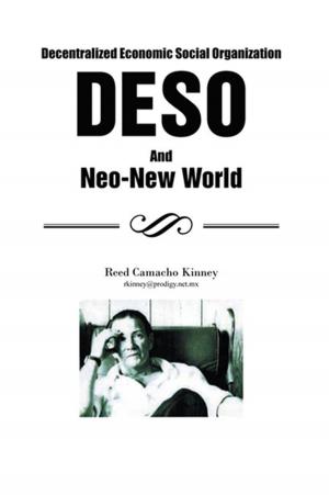 Cover of the book Decentralized Economic Social Organization by Herman Lloyd Bruebaker