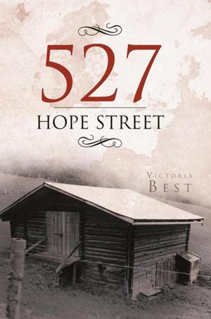 Cover of the book 527 Hope Street by Joanne Blackwelder