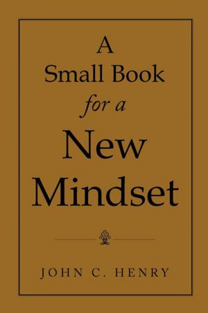 Cover of the book A Small Book for a New Mindset by Johnnie Ray Bishop Jr