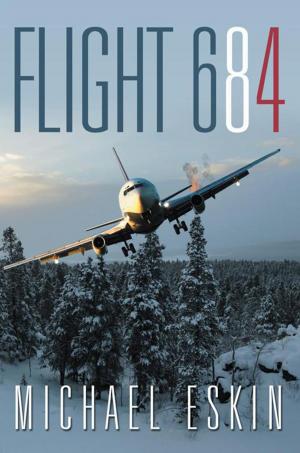 Cover of the book Flight 684 by Kevin J. O?Brien